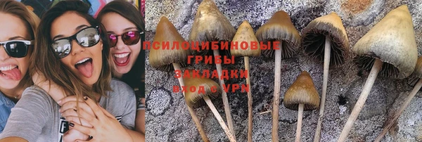 прущая мука Аркадак