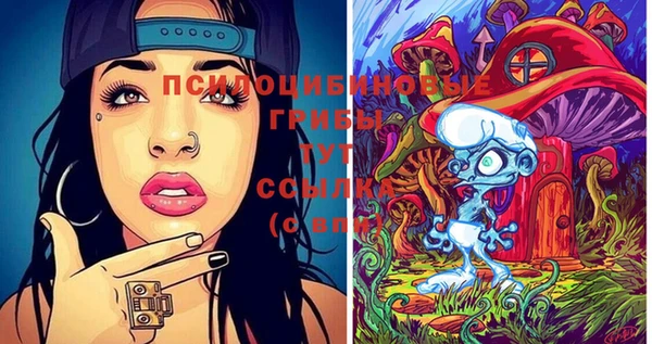 прущая мука Аркадак