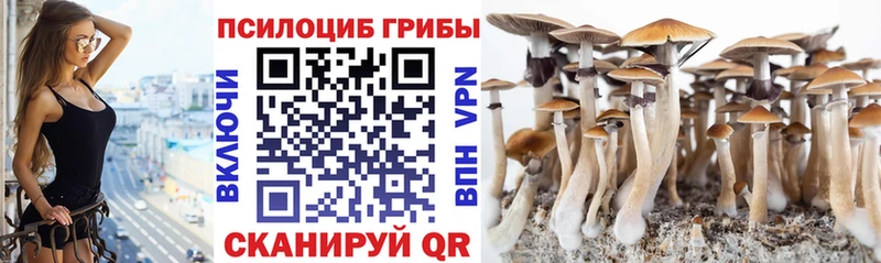 это наркотические препараты  Ульяновск  Галлюциногенные грибы Magic Shrooms 